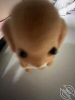 西安找姐姐 03年