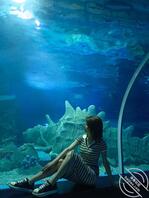 山东 山西 河北 包养个 女高 女大 少妇 夫妻