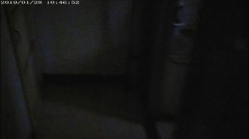 露脸熟女有验证