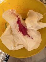 11.原计划这个周末再操妹妹,不巧的是妹妹来月经了0