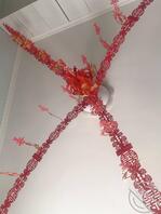 51 蓄谋已久,在房间做上拉花布置,希望给妹妹一个惊喜!!!!0