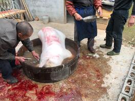 7)趁着女儿睡觉,潜入房问强奸她!心里突然放大了我的欲望2