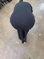 网友投稿【昆明居家骚逼少妇】