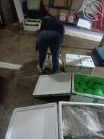 每次从后面看鸡儿梆硬2