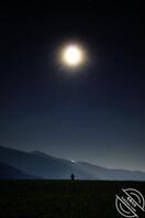 作为老公的你发现老婆和儿子发生关系?原因篇1