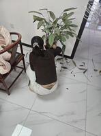 【暗水原创】124.表姐到我单位指导工作，帮我打扫办公室，挑选成人用品2