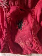 让丈母娘昨晚换下的内裤2