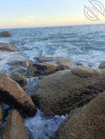 求大神帮忙调教小姨子，特别想操她