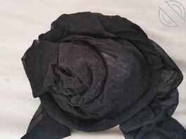 骚妹妹的原味儿1