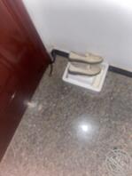 打胶扫楼的第二部