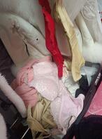 控制《一》妈妈的爱,每天都要偷她的内裤丝袜自慰。1