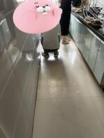 聊聊让儿子和老婆乱伦这事,第十五帖0