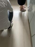聊聊让儿子和老婆乱伦这事,第十五帖1