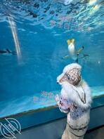 【原创内容129】跨年带妹妹来海洋世界啦1