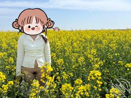 油菜花户外露出2