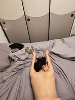 暴力后入蜜桃臀4