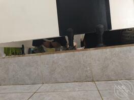 偷拍蜜雪冰城小妹上厕所0