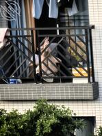 #长焦#少妇0