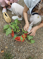 【暗水原创】36.成功约会雪姐，利用兵法左右逢源，我承认我有赌的成分1