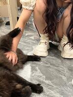 偷拍我的骚逼女大同事2