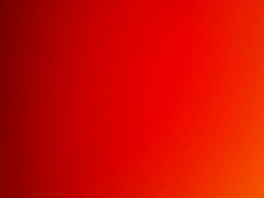 和35岁的江门情人