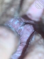 今日老婆的骚逼，全是白浆