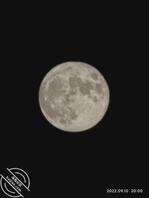 姐姐（已成年）都27岁了1