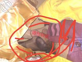 老熟妇亲妈确实懂得哄男人0