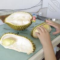 最近嫂子心情不好,给她买榴莲安慰她2