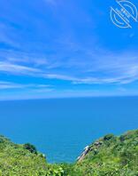 绍兴找长期金主