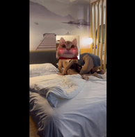 92银行人妻母狗背着老公偷情