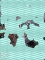 原创 网上发现自己的小侄女是母狗 (六)最后有视频0