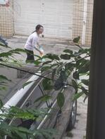 曝光表嫂，骚逼烂货一个0
