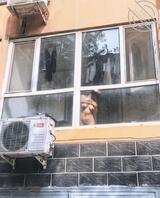 对面楼的，这会过去是不是能直接操？1