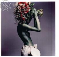 人体摄影艺术经典·性感与情感2