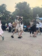 迪士尼的快乐！
