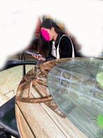 怎么搞定小姨子(2)0