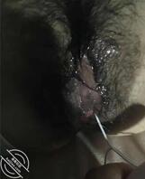 后妈哭着求饶 我把双腿掰开插进去 哭着求我别射进去1