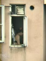 上次用激光笔晃了一下她，好像被吓到了，窗帘也不开了，今天又被我抓到了2