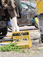 极品尤物，会是个婊子吗？