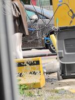 极品尤物，会是个婊子吗？2