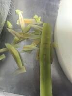 太原哪里可以扫楼打胶啊2