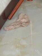 老妈最近刚买的新胸罩怎么样