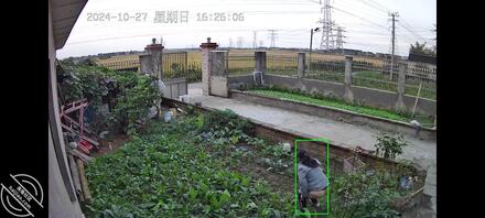 偷怕丈母娘,最后附上老婆0