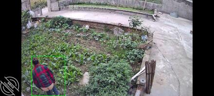 偷怕丈母娘,最后附上老婆1