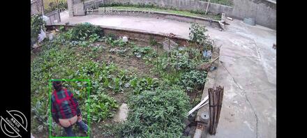 偷怕丈母娘,最后附上老婆2