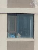 有一次看到对面的少妇姐姐1