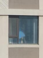 有一次看到对面的少妇姐姐2