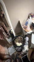 继续曝光骚母狗第四弹