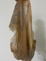 岳母岳父去了外地留了很多奶罩给我2